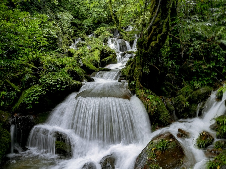 瓦屋山风景